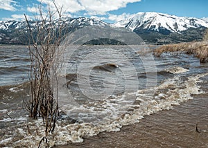 Washoe Lake, high water