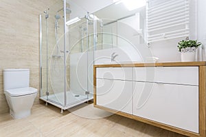 Washroom interior in traditional design