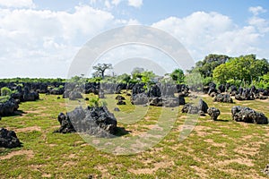 Wasini island in Kenya