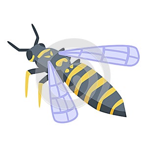 Wasp agression icon, isometric style photo
