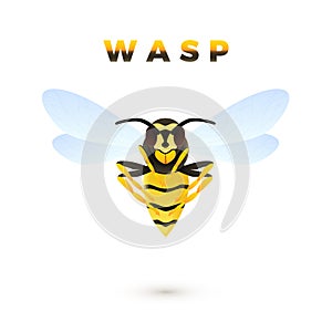 Wasp cartoon illustration isolated on white background. Predatory insect. Yellow striped wasp. Vector
