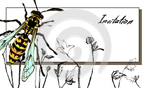 Wasp color visit card illustration vector