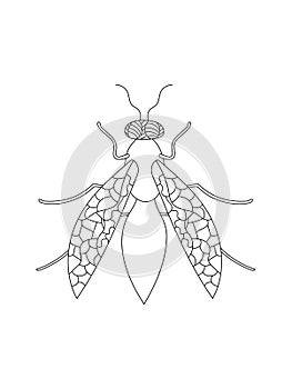 Wasp coloring book for children and adults. doodle drawing, zen art. Black and white drawing. Outline illustration. Printing in