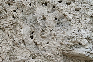 Wasp holes clayed soil or mud wall
