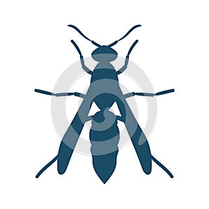 Wasp, Hornet, Bee on white background. Isolated illustration