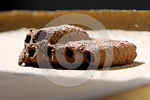 Wasp house made of mud