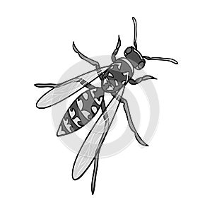 Wasp, hymenopteran insect.Wasp, stinging insect single icon in monochrome style vector symbol stock isometric