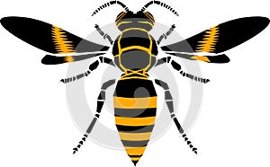 Wasp, icon