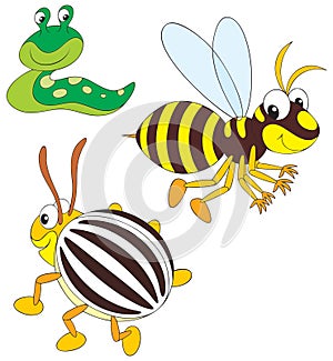 Wasp, potato beetle and slug