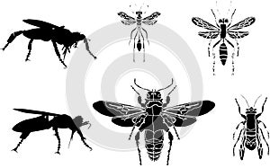 Wasp silhouettes collection