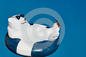 A wasp vespidae perched on a plastic polar bear swimming in a pool