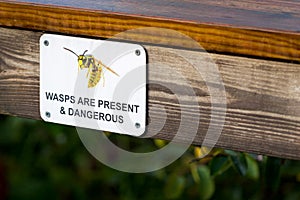 Wasps are present and dangerous