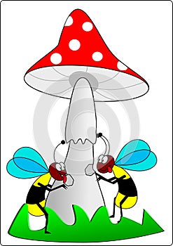 Wasps and toadstool