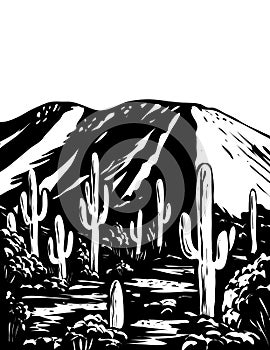 Wasson Peak in Tucson Mountain District of Saguaro National Park Arizona USA WPA Black and White Art