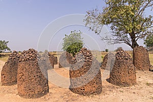 Wassu in gambia