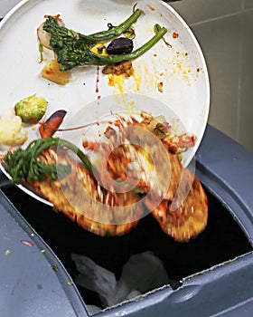 wastage of food,throwing food in to garbage bin, mostly seeing in hotels and party events