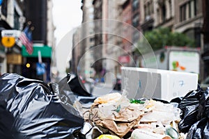 Waste disposal in New York