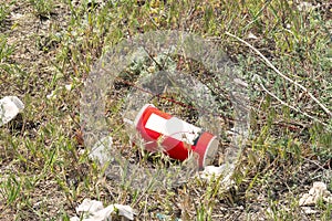 Waste, garbage in the forest.