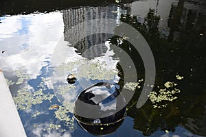 Waste or garbage in the waterways canals in the center of the European city