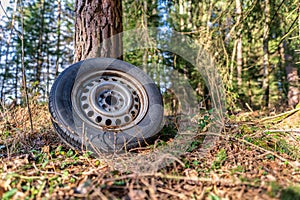 Waste and nature pollution, an nvironmental elapse in a forest, a left behind tire.