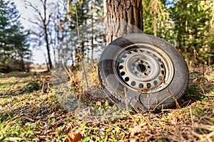 Waste and nature pollution, an nvironmental elapse in a forest, a left behind tire. photo