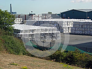 Waste recycling plant