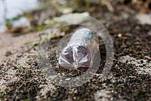 Waste and rubbish in the forest. Plastic bottles, cans and glass