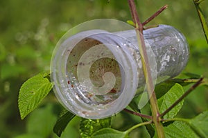 Waste and rubbish in the forest. Plastic glass.