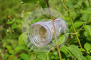 Waste and rubbish in the forest. Plastic glass.