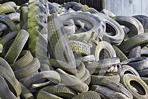 Waste tyres piled high