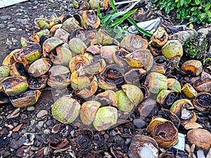 waste of unused coconut shells on the ground