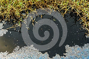 Waste water ,oil contaminated