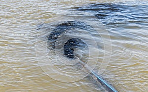 Waste water from industrial sewers into river