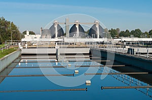 Desperdiciar Agua planta 