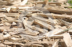 Waste wood