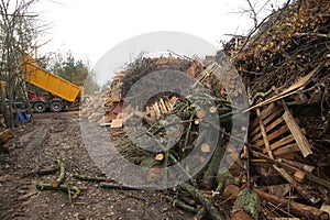 waste wood waste pallets firewood wood chips plywood for processing into chips stacked in a pile