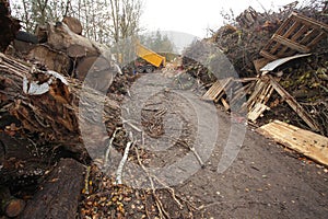 waste wood waste pallets firewood wood chips plywood for processing into chips stacked in a pile