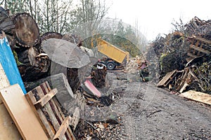 waste wood waste pallets firewood wood chips plywood for processing into chips stacked in a pile