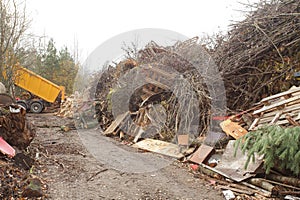 waste wood waste pallets firewood wood chips plywood for processing into chips stacked in a pile