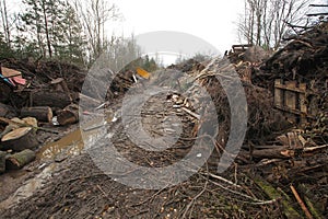 waste wood waste pallets firewood wood chips plywood for processing into chips stacked in a pile