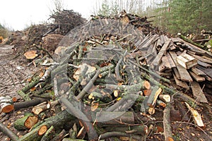 waste wood waste pallets firewood wood chips plywood for processing into chips stacked in a pile