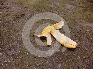 wasted banana peels 2