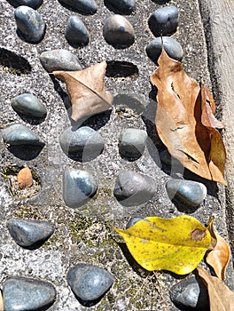 wasted dry leaves on a black stone