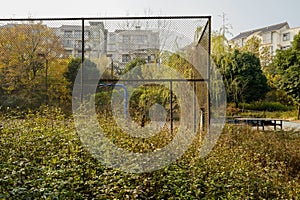 Wasted fenced basketball court in weeds before apartments in sun