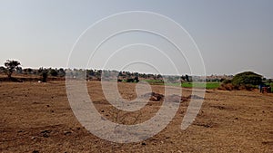 Wasteland Forest and Fields near Indore