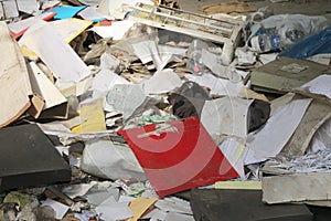 Wastepaper and many trash in an abandoned office