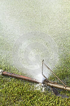 Wasting water - water leaking from a connector of pipe