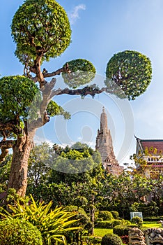 Wat Arun Buddhist Temple in Bangkok, Thailand