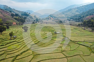 Wat Ban Wen rice fields in Nan province, Thailand