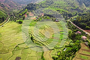 Wat Ban Wen rice fields in Nan province, Thailand